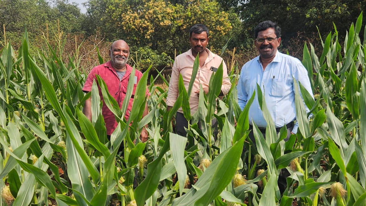 Field Visits 1